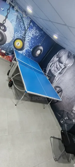 Lavishly Made Table Tennis Board
