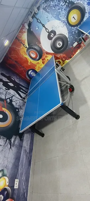 Deluxe Edition Table Tennis Board