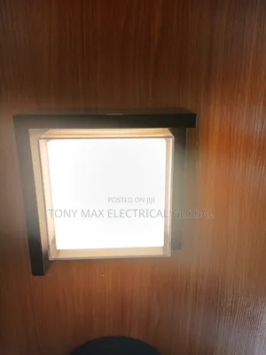 Led Wall Light