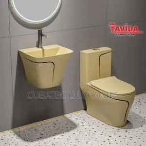 Luxury Toilet Seat And Basin