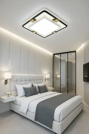 Modern Design Living Room Ceiling Fitting Lights.