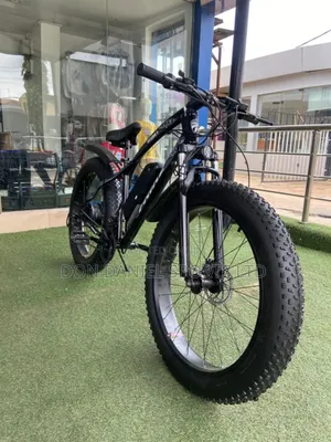 Electric Bicycle