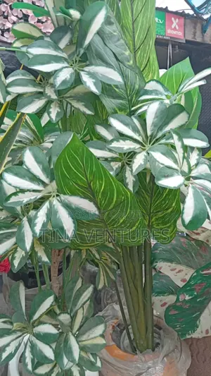 Artificial Flower and Pot Set ( Fine Quality)