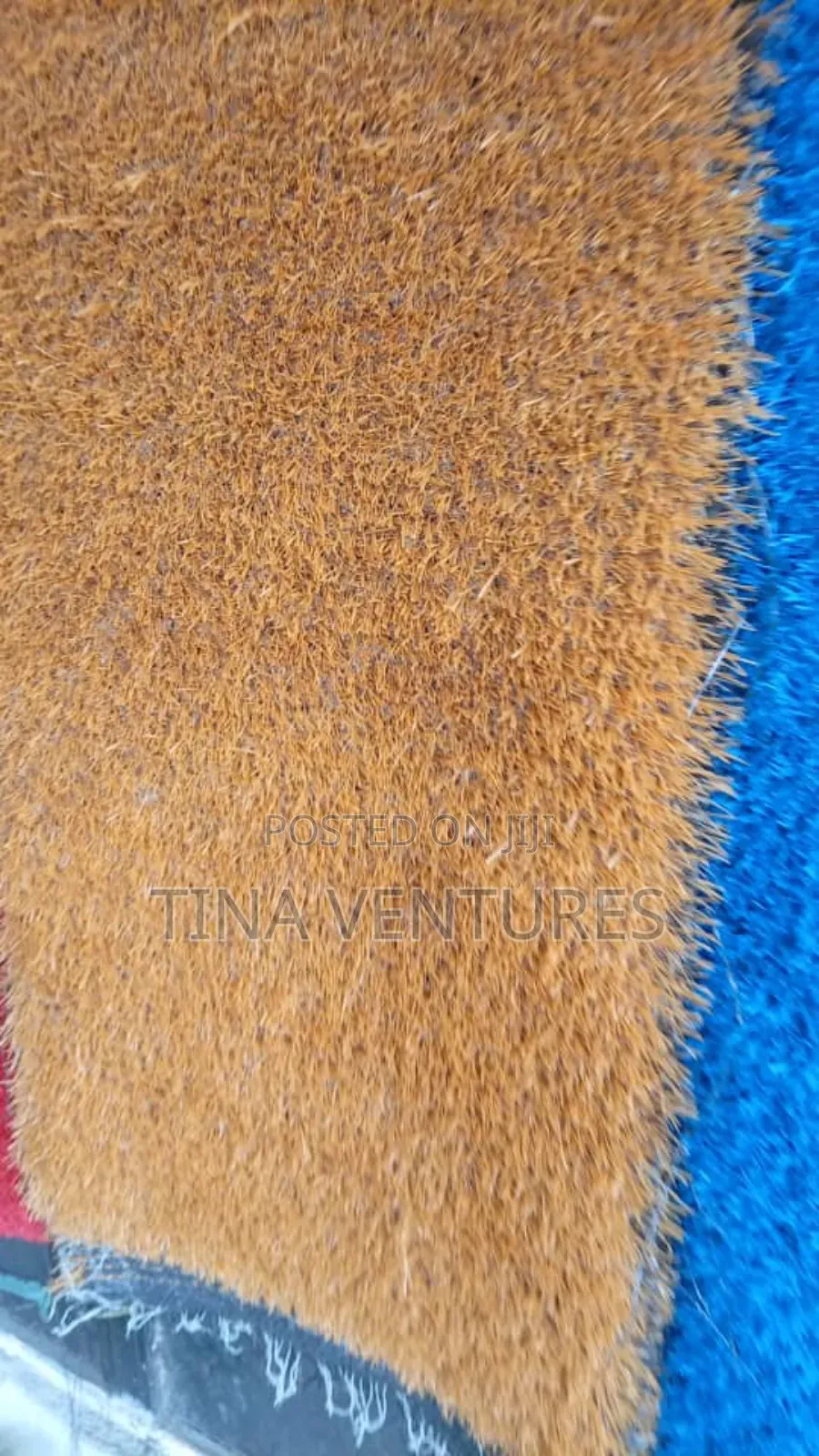 Artificial Grass ( Carpet Grass)