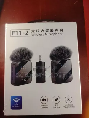 Wireless Mic F11-2