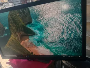 Dell Monitor