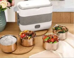 Double Layer Lunch Box Electric Food Warmer