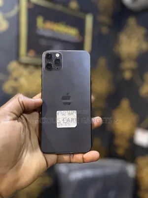 Apple iPhone 11 Pro Max 256 GB Gray