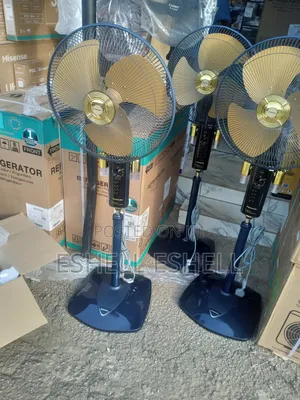 Panasonic Standing Fan With Twin Bulb