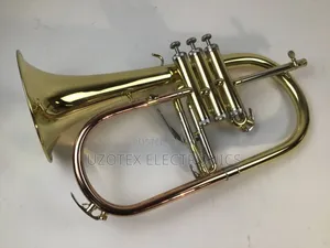 French Horn With Accessories Bag and Mouthpiece