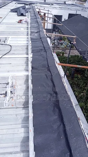 Exousia Roof Waterproofing Expert