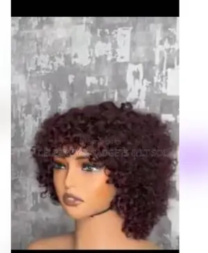 Short Afro Curly Wig