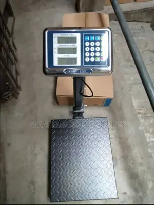 Heavy Duty 100kg Original Camry Scale for Accurate Measurement