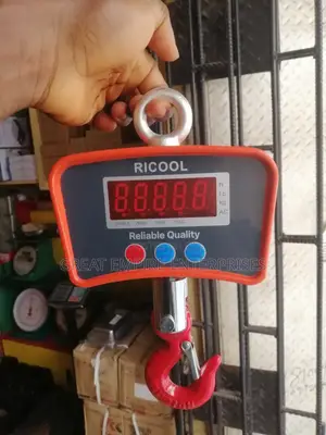500kg Digital Hanging Crane Scale