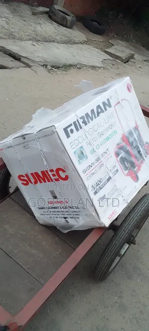 Firman Generator 4990