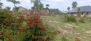 A Plot And Half With Uncompleted Building