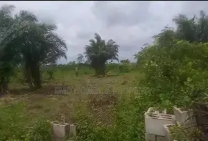 Lands For Sale In Lusada, Ogun State (Close To Crawford University)