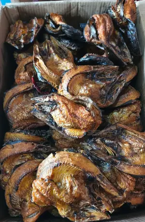 Thailand Butterfly Fish
