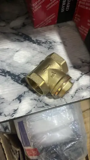 1 Inch Non Return Valve Brass