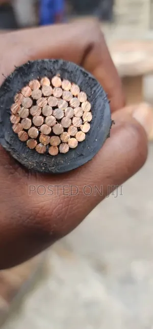 500mm*1core PVC/PVC High Quality Electric Armoured Cable