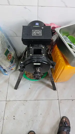 Wet And Dry Grinder