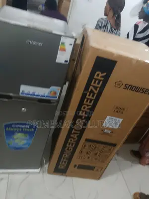 Upgrade Your Storage: Snowsea BCD-198 Double Door Model