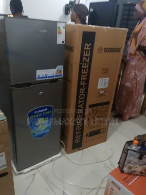 Affordable Luxury: Snowsea BCD-198 Double Door Fridge