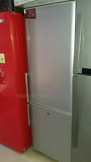 Double Door Lg Fridge With 2years Warranty and Safe Delivery