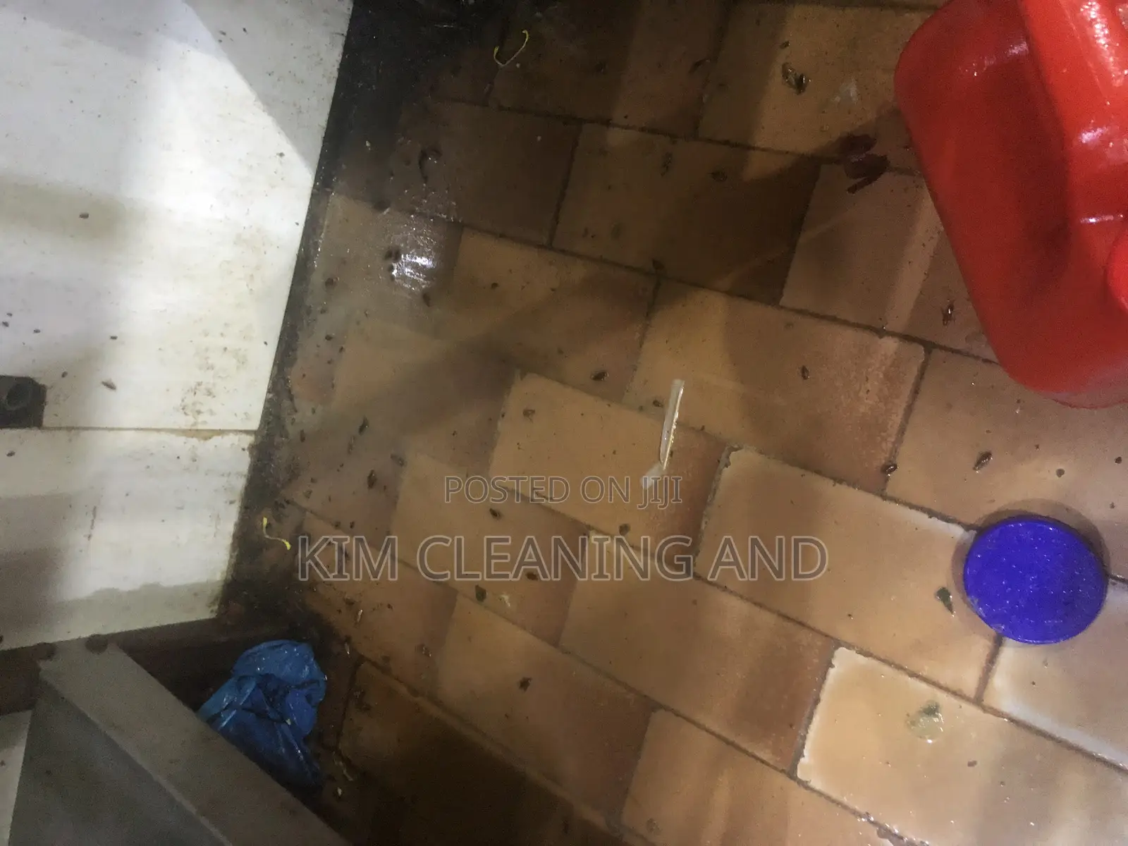 Pest/Insects Fumigation