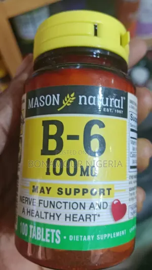 Mason Natural B-6 100mg X100 Tabs