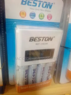 Beston Battery Charger With Battery