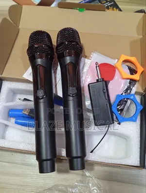 Professional Wireless Microphone