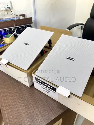 Tundra 100 Watt Inwall Speaker