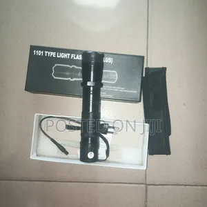 Security Torchlight 1101
