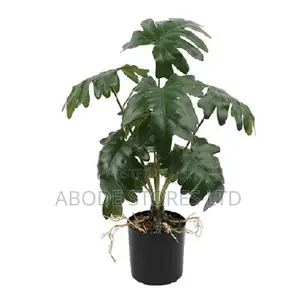 Artificial Monstera Plant - 35cm - Black Pot