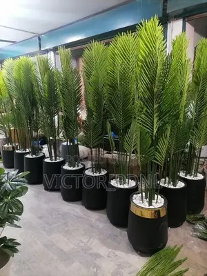 Presidential Flower Pots