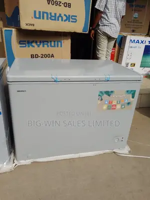 Skyrun Freezer 300l
