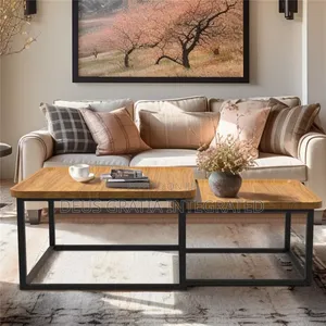 Unique Coffee Table 1+1
