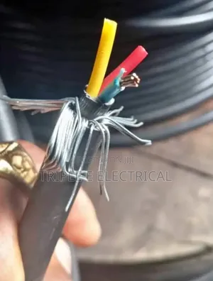 4mm 3core Armored Cable