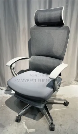 Standard Quality Ergonomic Mesh Office Chair.