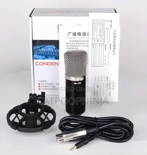 Bm-700 Studio Condenser Microphone – Professional Sound Quality