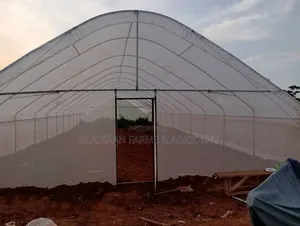 Greenhouse Installation and Management – Professional Service