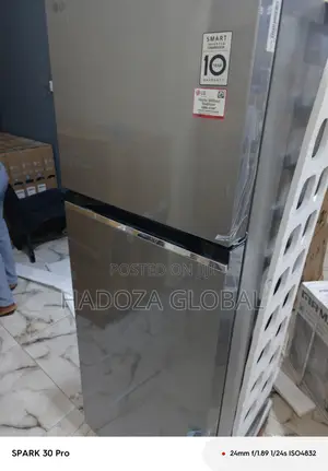 Lg 260l Platinum Silver Steel Refrigerator