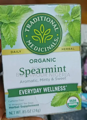 Organic Spearmint Tea X 16 Tea Bags