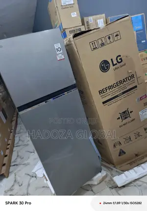 Lg Platinum Silver Steel Fridge, 260l