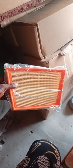 Range Rover Evoque Air Filter