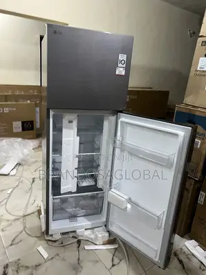 Lg 263l Fridge – Smart Eco Cooling With Auto Defrost Gl-B242pqg
