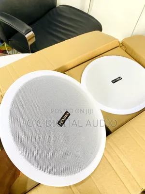 2 in 1 Tundra Bluetooth 50 Watt Ceiling Speaker