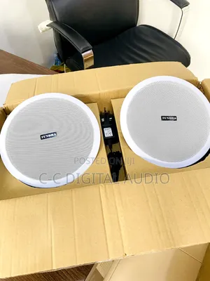 Tundra 2in1 Bluetooth Ceiling Speaker