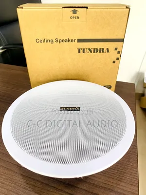 Tundra Bluetooth Ceiling Speaker